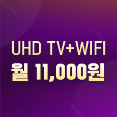 UHD이코노미+WiFi 신규(PC)