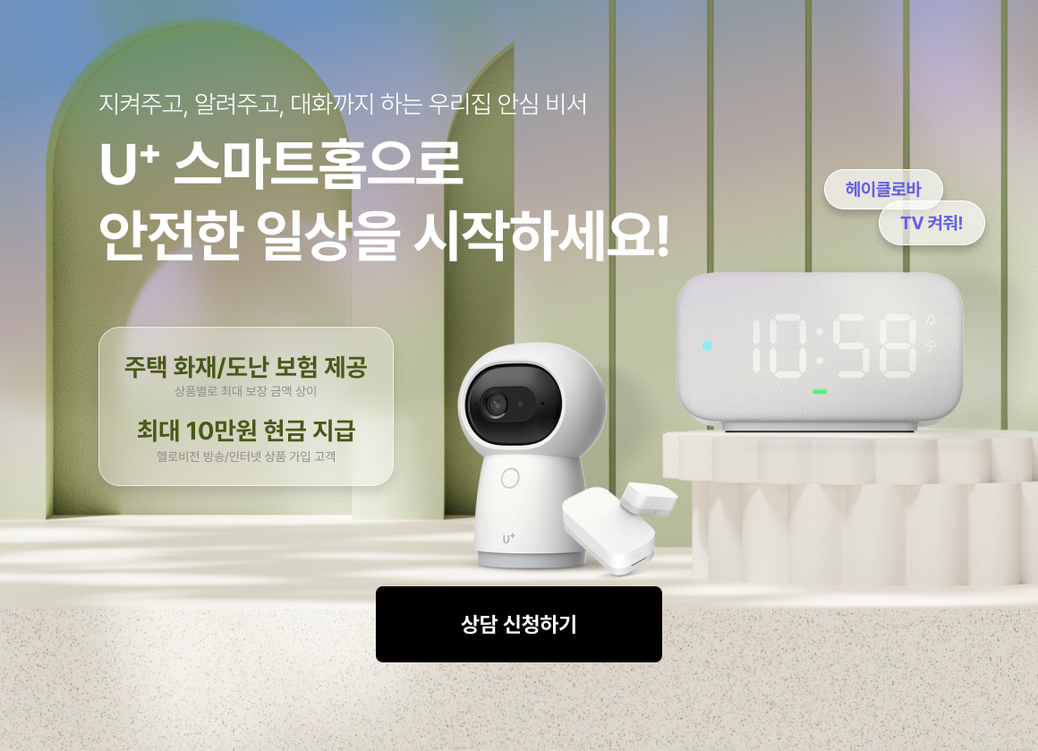 스마트홈 제휴